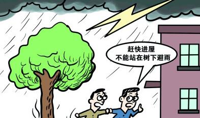 夏季突遇雷電如何防護